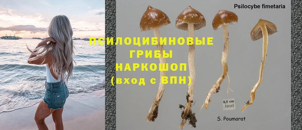 мяу мяу мука Алексеевка
