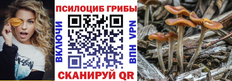 Псилоцибиновые грибы MAGIC MUSHROOMS  Урюпинск 