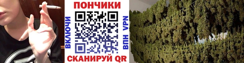 Каннабис SATIVA & INDICA  где купить наркоту  Урюпинск 